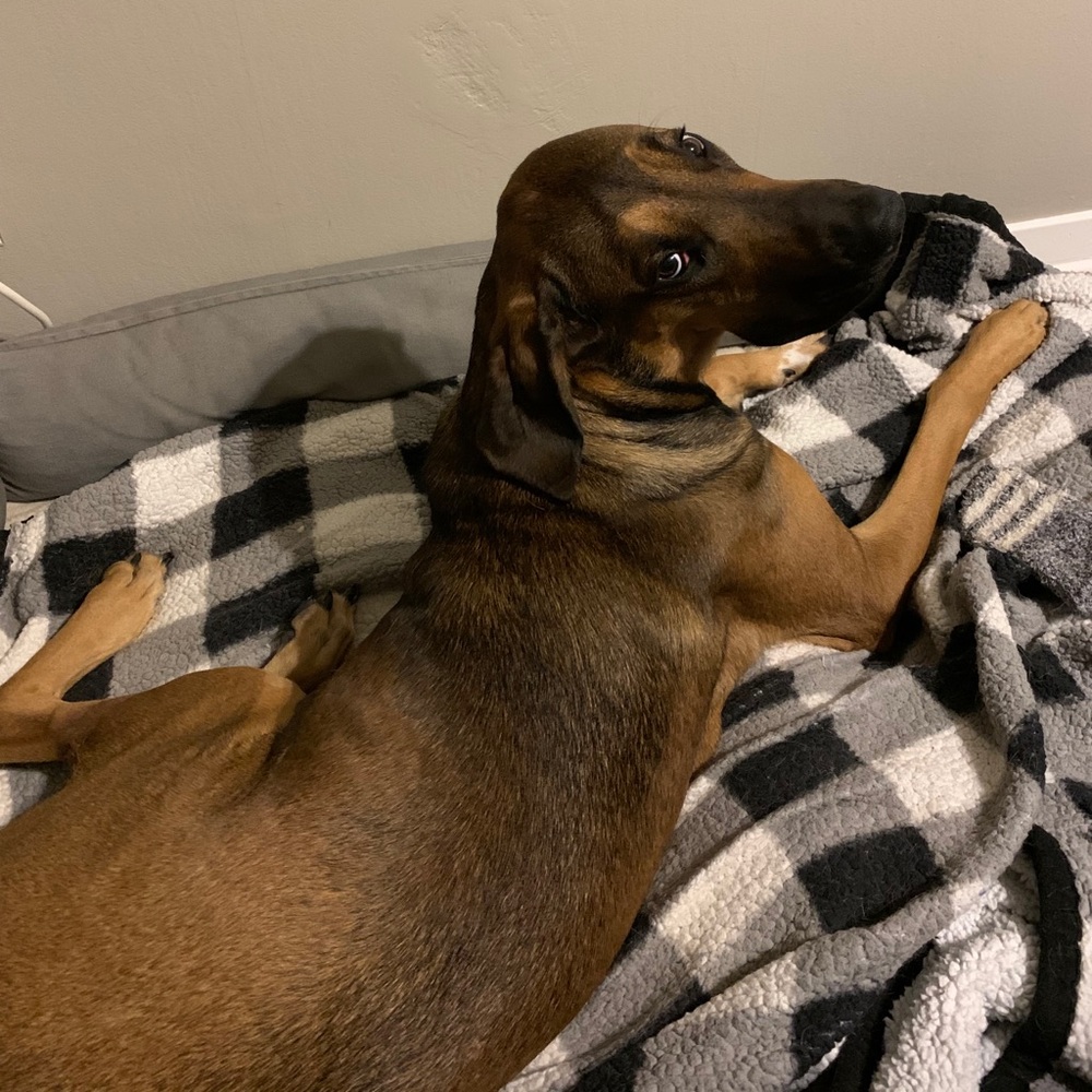 Meet your Posher, Adriana